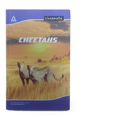 CLASSMATE NOTEBOOK HARD COVER SINGLE LINE 33 x 21 CM 400 PAGES